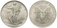 1 dolar 1994, Filadelfia, srebro 31.49 g, '999'