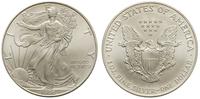 1 dolar 1996, Filadelfia, srebro 31.16 g, '999'