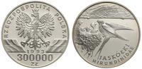 300000 złotych 1993, Warszawa, Jaskółki, moneta 
