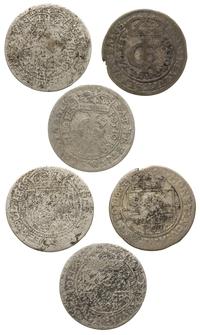 lot: 3x tymf (złotówka) 1663, 1664, 1665, Bydgos