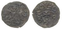 denar 1558, Gdańsk