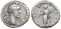 denar 153-154, Rzym, Aw: Głowa w prawo, ANTONINV