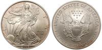 1 dolar 2005, Walking Liberty, srebro 31.24 g pr