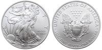 1 dolar 2010, Filadelfia, srebro 31.22 g, moneta