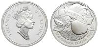 1 dolar 1996, Jabłko Macintosh, srebro '925' 25.