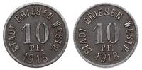 10 fenigów 1918, żelazo 21.6 mm 3.43 g, Menzel 2