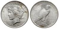 1 dolar 1923, Filadelfia, Typ "Peace", bardzo ła