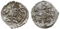 denar litewski 1557, Wilno, srebro 0.24 g, T. 10