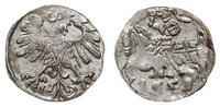denar litewski 1559, Wilno, srebro 0.30 g, T. 8