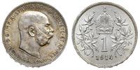 1 korona 1914, Wiedeń, patyna, piękne, Herinek 8