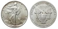 dolar 1987, Filadelfia, srebro 31.52 g