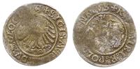 grosz 1506, Głogów, moneta bita przez królewicza