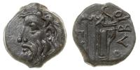 brąz 275-260 pne, Aw: Głowa Borystenesa (uosobie