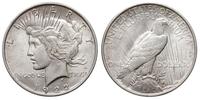 1 dolar 1922, Filadelfia, , typ ''Peace''