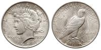 dolar 1924, Filadelfia, typ "Peace", srebro "900