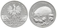 20 złotych 1996, Warszawa, Jeż, srebro "925", mi