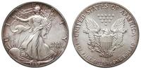 1 dolar 1989, Filadelfia, typ Liberty, uncja czy