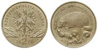 2 złote 1996, Warszawa, Jeż, Parchimowicz 733