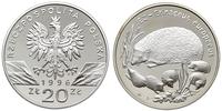 20 złotych 1996, Warszawa, Jeż, piękne, moneta w