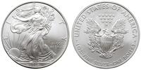 1 dolar 2008, Filadelfia, typ ''Liberty'', srebr