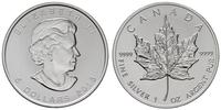5 dolarów 2013, srebro ''9999'' 31.27 g