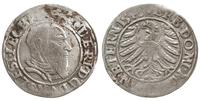 grosz 1543, Brzeg, lekko niedobity, F.u.S. 1360