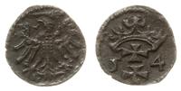 denar 1554, Gdańsk, ciemna patyna, Kop. 7350 (R4