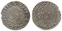 Prusy Książęce 1525-1657, grosz, 1542