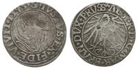 grosz 1543, Królewiec, Slg. Marienburg 1195, Vos