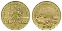 2 złote 1996, Warszawa, Jeż, Nordic gold, piękne