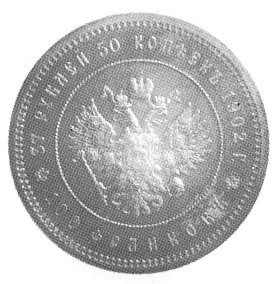 37 1/2 rubla = 100 franków 1902, St. Petersburg, Aw: Głowa i napis, Rw: Orzeł i napis, Fr. 152, -RRR- 225 egz., oryginalna patyna.