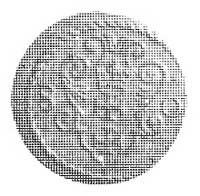 denar 1580, Gdańsk, Aw: Orzeł, Rw: Herb Gdańska,