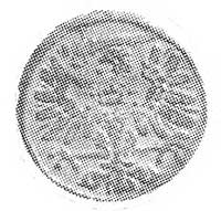 trzeciak 1613, Gdańsk, Aw: Orzeł, Rw: Herb Gdańska, Kop. II.1a. -RR-, Cz. 1305 R.