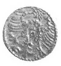 denar 1571, Królewiec, Aw: AF, Rw: Orzeł pruski, Kop. I.2 -RR-, Cz. 8698 R4.