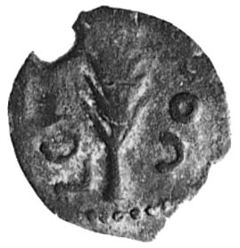 PALESTYNA, Jan Hyrcanus II (67 i 63-40 p.n.e.), pół prutaha, Aw: Gałązka oliwna między literami, Rw: Lilia,Sear 6100, Meshorer 21, BMC 48H, 11 mm, 1,81 g.