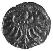 denar 1555, Gdańsk, Aw: Orzeł Prus Królewskich, Rw: Herb Gdańska, Gum.640, Kurp.926 R3, T.8