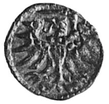 denar 1555, Elbląg, Aw: Orzeł Prus Królewskich, Rw: Herb Elbląga, Gum.654, Kurp.989 R3, T.7