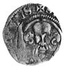 Otto III 1383-1428, Bassum, denar, Aw: Głowa św. Pawła pomiędzy mieczem i tarczą herbową i napis: ..