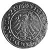 grosz 1533, Elbląg, Aw: Orzeł Prus Królewskich i