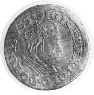 trojak 1536, Gdańsk, Aw: Popiersie w koronie i n