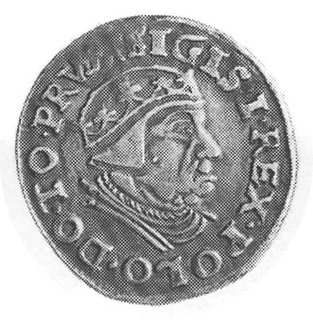 trojak 1539, Gdańsk, j.w., Gum.572, Kurp.518 Rl