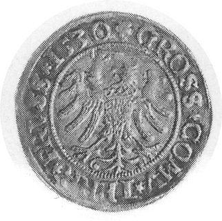 grosz 1530, Toruń, Aw: Popiersie w koronie i napis, Rw: Orzeł Prus Królewskich i napis, Gum.526, Kurp.274 R