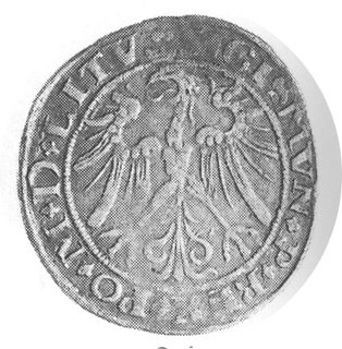 grosz 1536, Wilno, Aw: Orzeł i napis, Rw: Pogoń 