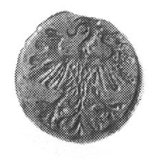 denar 1559, Wilno, j.w., Gum.592, Kurp.646 R3