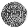 Henryk Reffle von Richtenberg 1470-1477, szeląg, Aw: Tarcza Wielkiego Mistrza, w otoku napis, Rw: ..