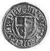 Henryk Reffle von Richtenberg 1470-1477, szeląg, Aw: Tarcza Wielkiego Mistrza, w otoku napis, Rw: ..