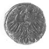 denar 1554, Wilno, Aw: Orzeł, Rw: Pogoń, Gum.592