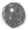 denar 1596, Wschowa, Aw: Orzeł, Rw: Herb Wschowy