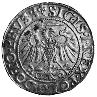 grosz 1540, Elbląg, Aw: Orzeł Ziem Pruskich i napis, Gum.583, Kurp.610 R, odmiana: miecz z lewej strony orła