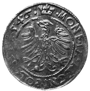 grosz 1546, Kraków, j.w., Gum.488, Kurp.57 (awer